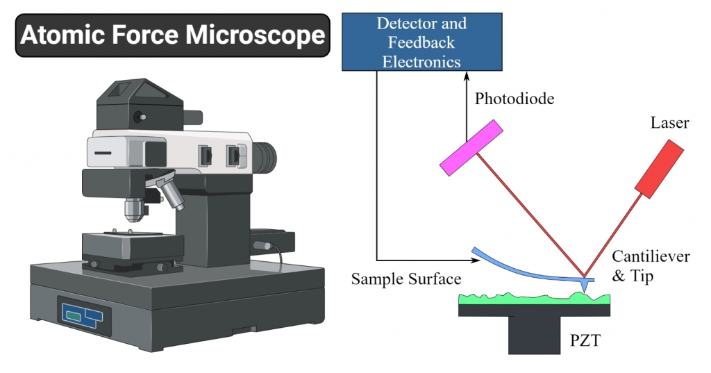 مجهر القوة الذريه  Atomic Force Microscopy