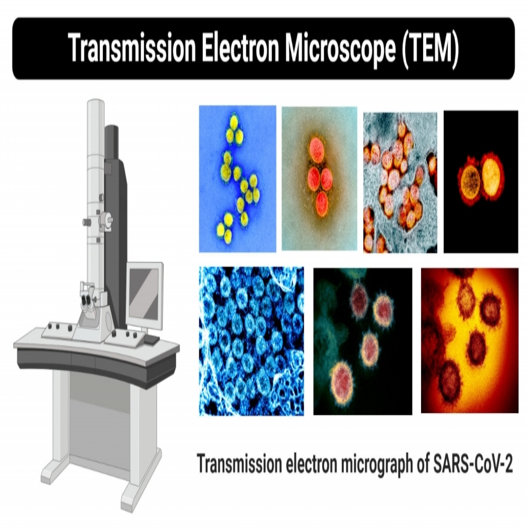 المجهر الالكتروني النفاذ Transmission Electron Microscope